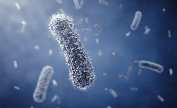 nobeastsofierce_bacteria_shutterstock