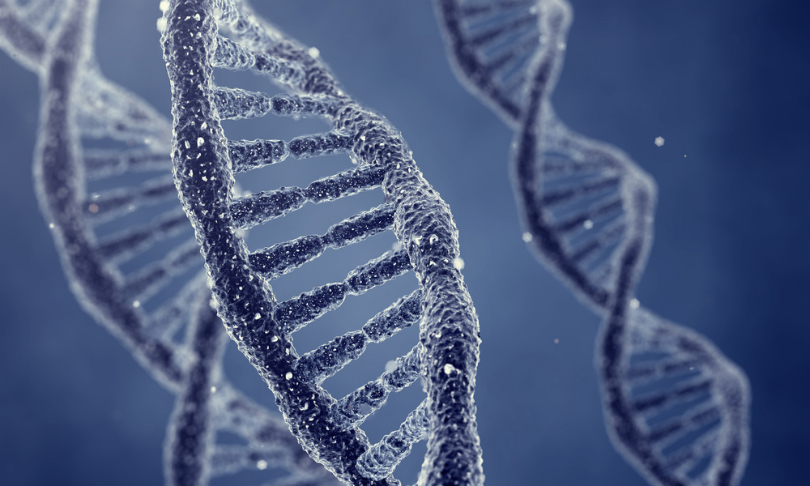 nobeastsofierce_genes_shutterstock