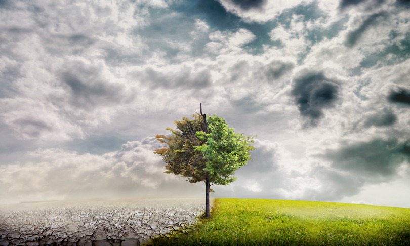 red-feniks_global-warming_Shutterstock