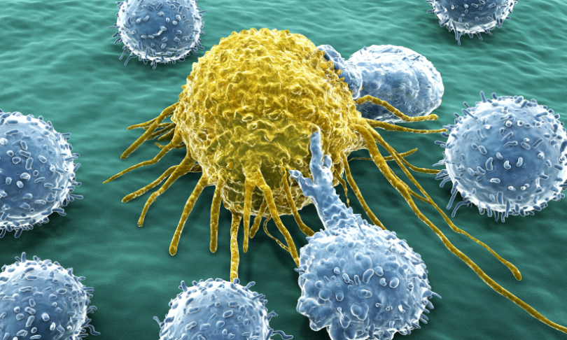 selvanegra_CancerImmune_iStock