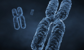 spanteldotru-chromosome-istock