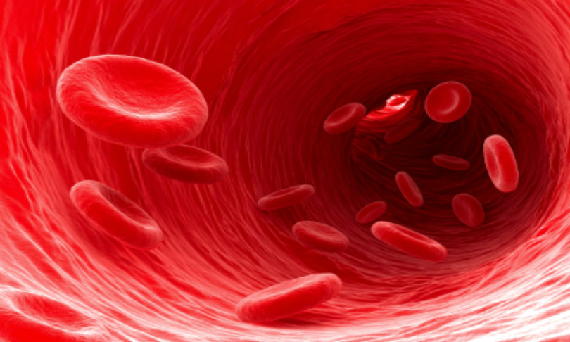 spanteldotru_bloodcells_istock