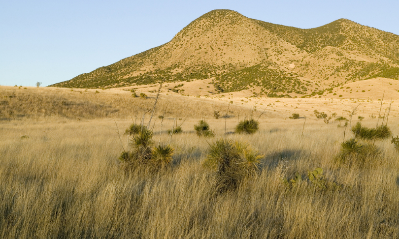 spirit_of_america_Drylands_shutterstock