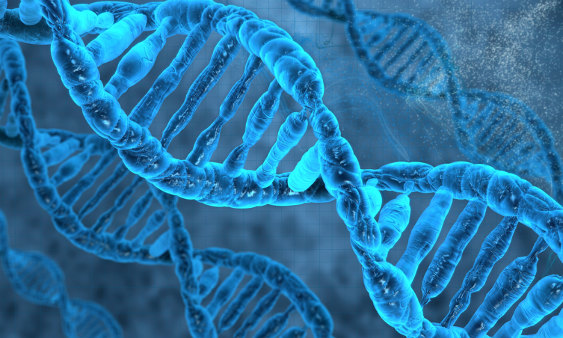 vitstudio_DNA_Shutterstock