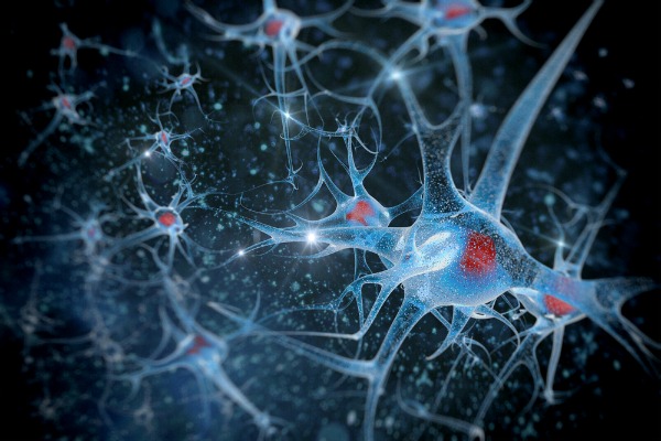 vitstudio_neurons_shutterstock