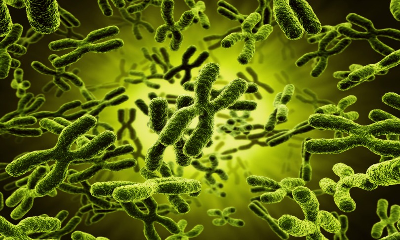 zentilia_telomeres_Shutterstock