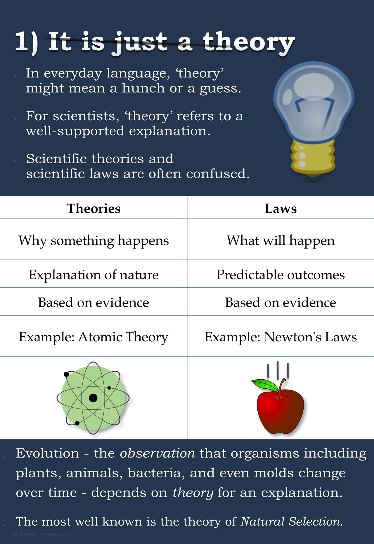 evolution misconceptions infographic down five breaks theory scientific why law common myths 1280