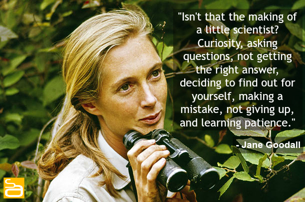 10q jane goodall 01 quote