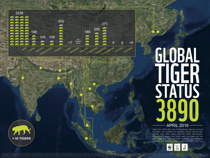 embargoed infographic  global tiger status   april 2016  high resolution  1