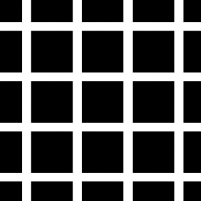 HermannGrid