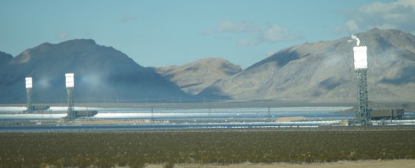 This solar plant accidentally incinerates up to 6,000 birds a year