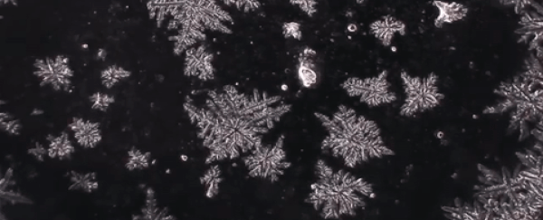WATCH: Your tears are as unique (and beautiful) as snowflakes