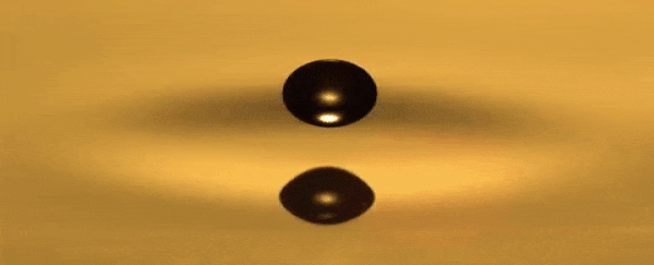 These levitating droplets behave strangely like quantum particles