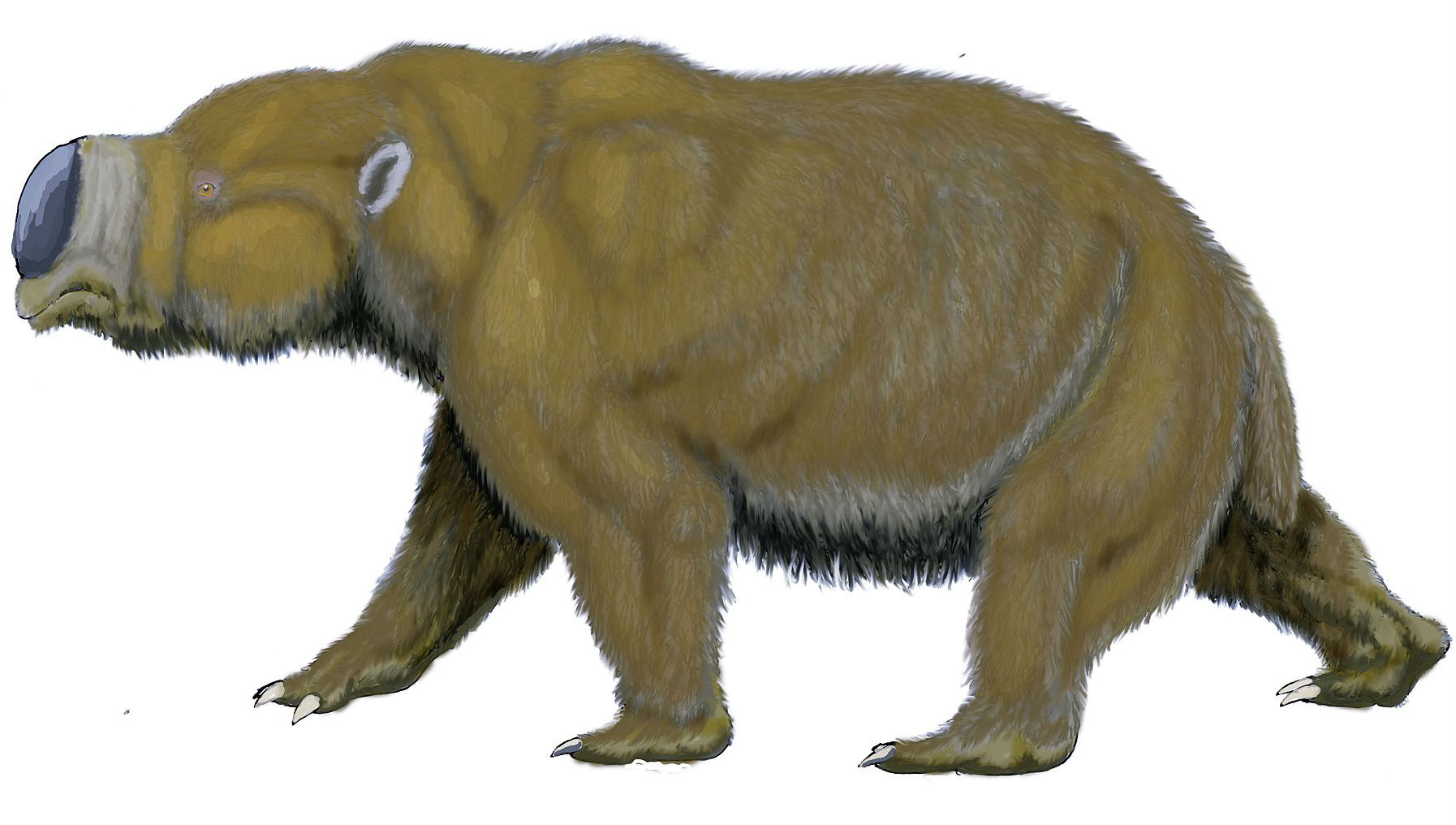 Diprotodon