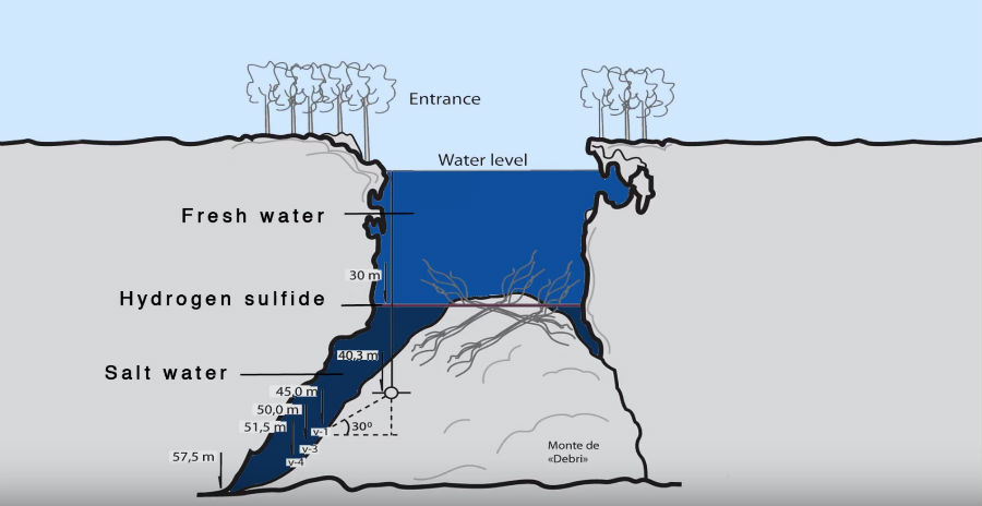 cenote-diagram