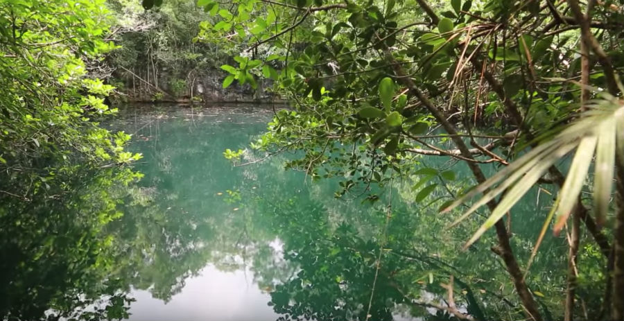 Brackish Water: Where Fresh Water Rivers Meet A Salt Water Sea