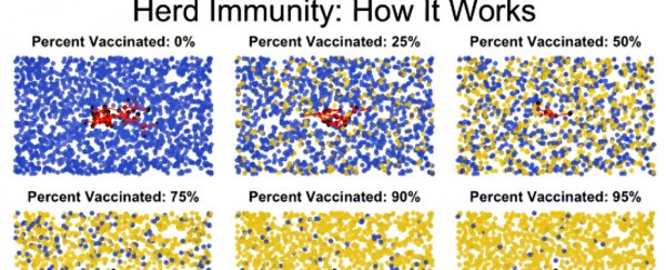 This Animation Nails Why Your Kid Still Needs Vaccines Even if Everyone Else Has Them