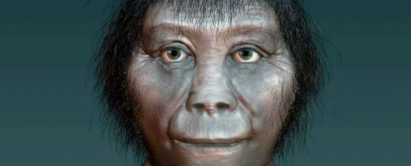 Indonesia's 'Hobbits' are far older relatives than we originally thought