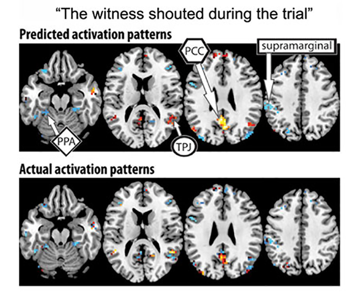 thought mapping trial