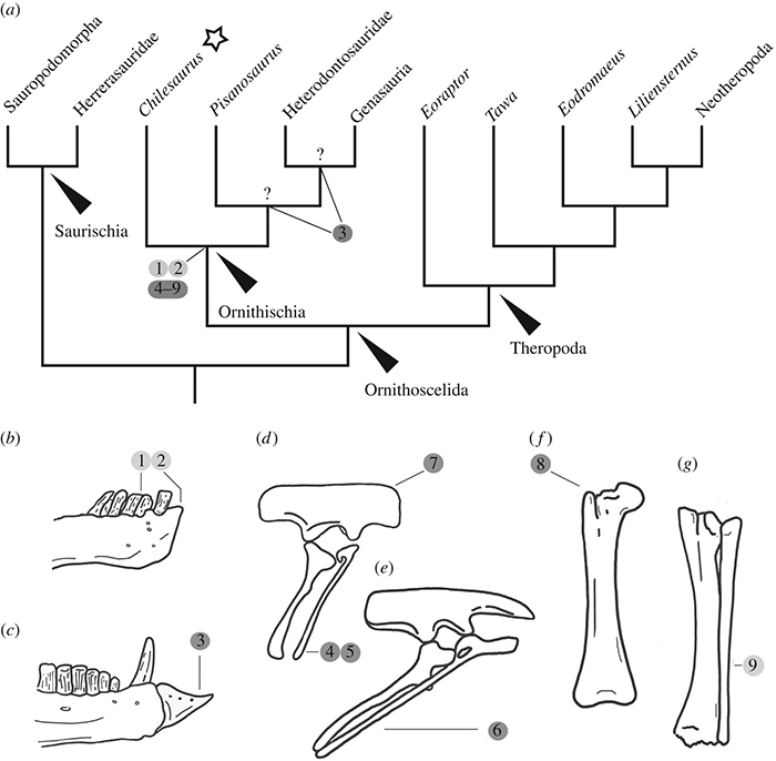 dino f tree