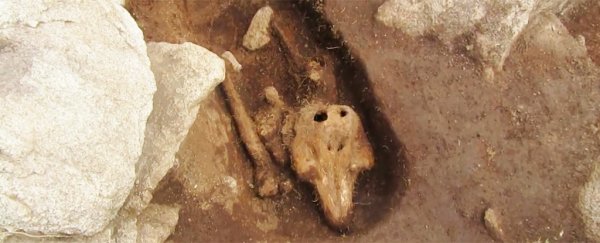 Archaeologists found a truly bizarre burial in an isolated medieval graveyard