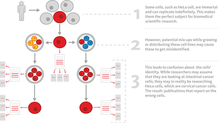 9325 cells 2