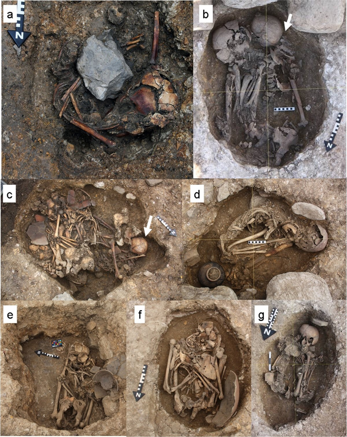 graves of ritual violence ancient peru