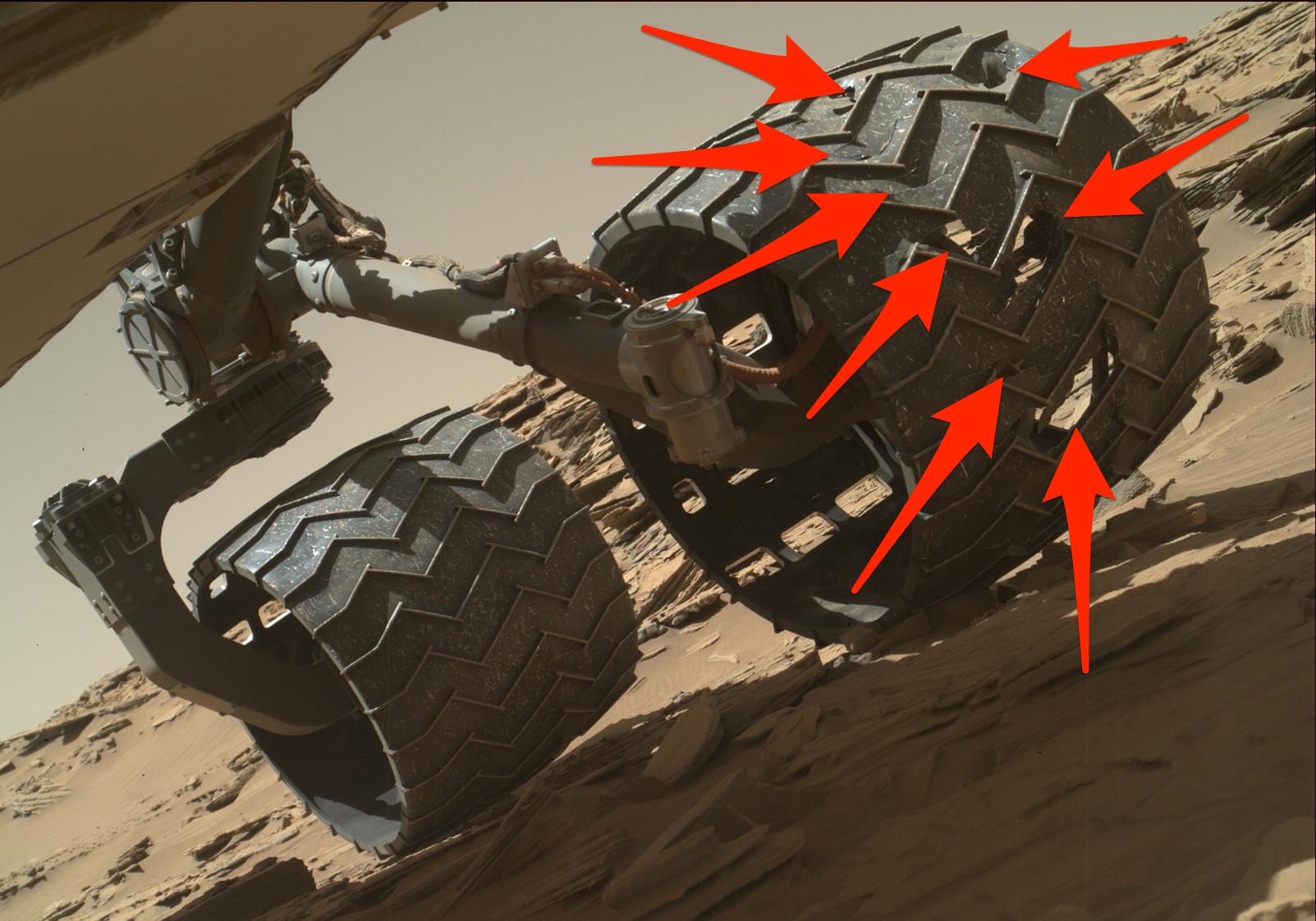 Damage on Curiosity's wheels as of April 18, 2016 (NASA/JPL-Caltech/MSSS; Business Insider)