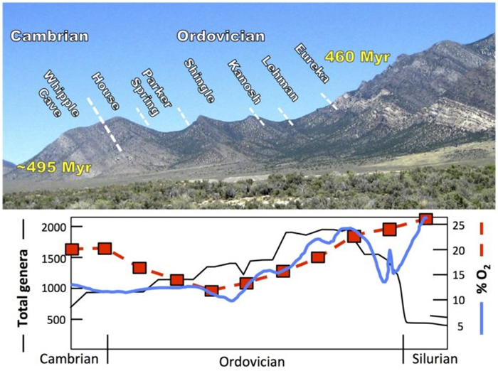 oxygen fossils 2