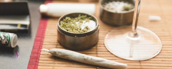 Which is worse for your health, marijuana or alcohol? Here's the science