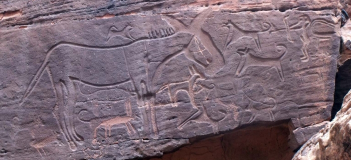 rock art dogs hunting equid