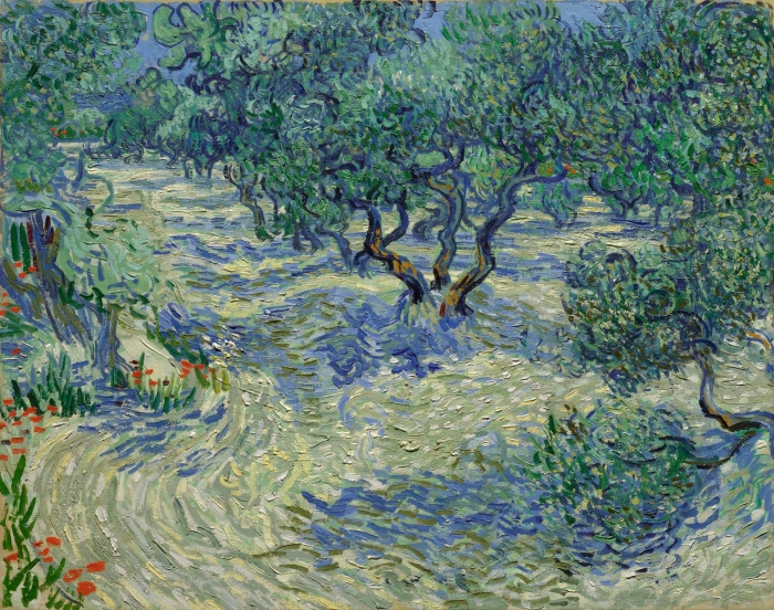 van gogh olive trees full inset