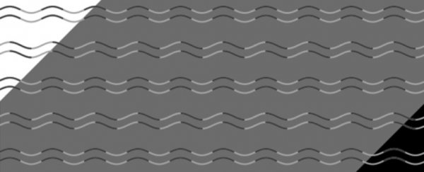 This trippy optical illusion can reveal if you have 'curvature blindness'