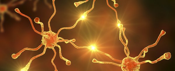 Physicists overturn a 100-year-old assumption on how brain cells work