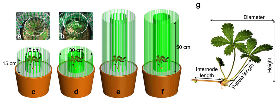 smart plants 2