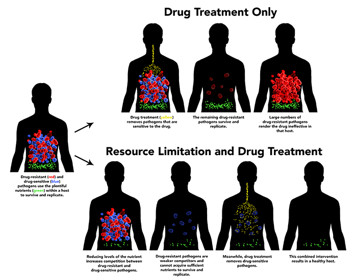 warring pathogens 2