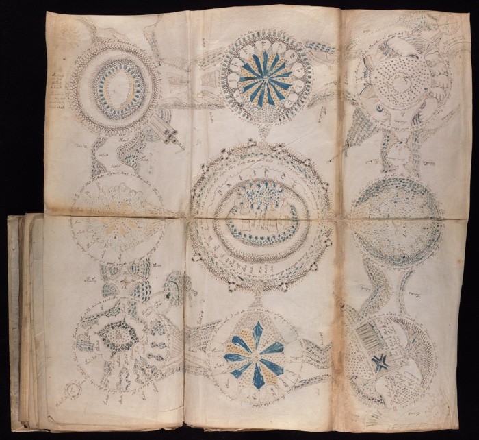 825 voynich manuscript 4