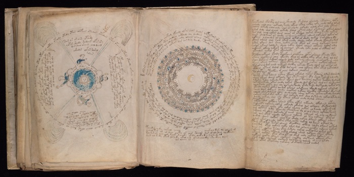 825 voynich manuscript 4