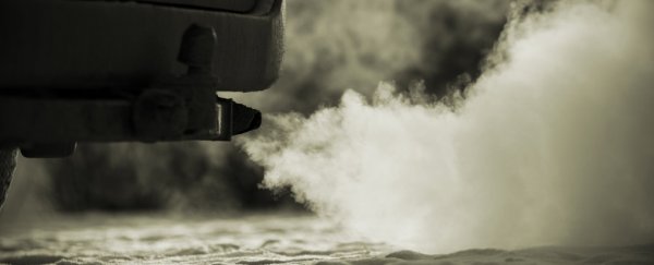 German carmakers exposed monkeys and humans to diesel fumes in secret tests