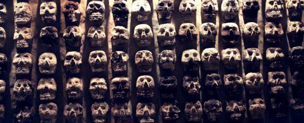 Mysterious 16th century epidemic that almost wiped out Mexico finally identified