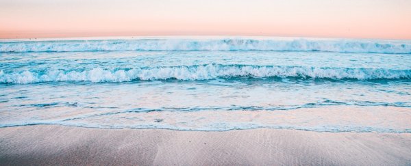 Never-before-seen viruses with weird DNA were just discovered in the ocean