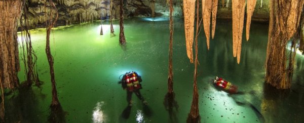 Divers found the world's largest underwater cave, and it's full of Maya secrets