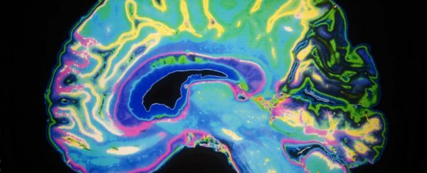 Neuroscientists have followed a thought as it moves through the human brain