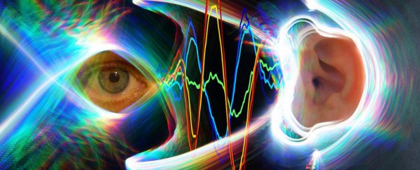 Our eye movements also move eardrums, and nobody knows why