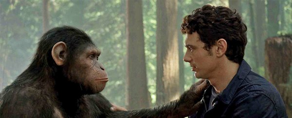 This could be the one key hormone that set us apart from apes