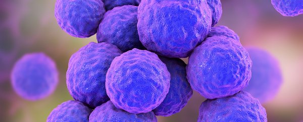 This 40 year old antibiotic could fight back against the worst superbugs