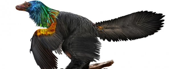 Stunning fossil discovery reveals a new dinosaur with iridescent feathers