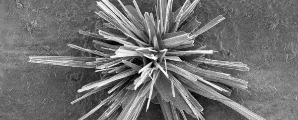 Scientists have figured out how to recycle waste CO2 back into... plastic
