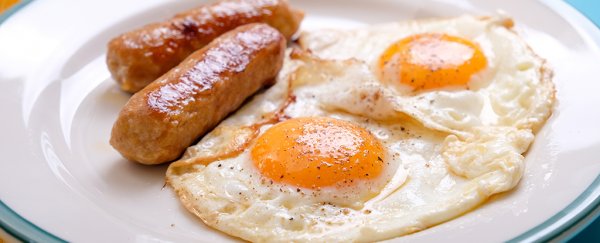 High-cholesterol diets can speed up tumour growth 100-fold, scientists say