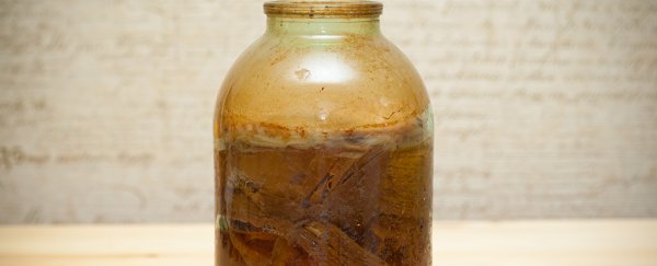 What is kombucha and does its hype stand up to scientific scrutiny?